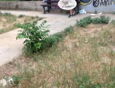 Απίστευτες εικόνες στην Πάτρα: Άνδρας κάνει χρήση ναρκωτικών σε πολυσύχναστη παιδική χαρά! (φωτό)